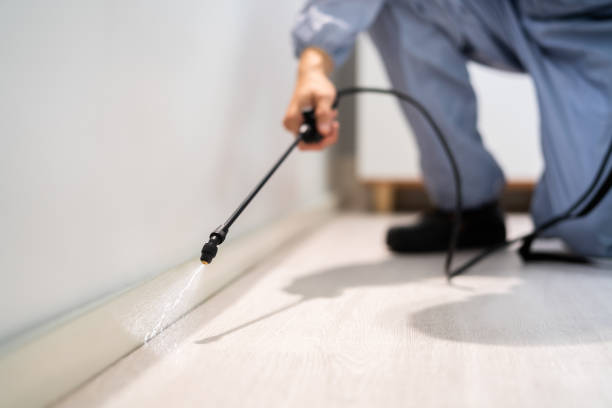 Certified termite inspector examining foundation in Gold Hill